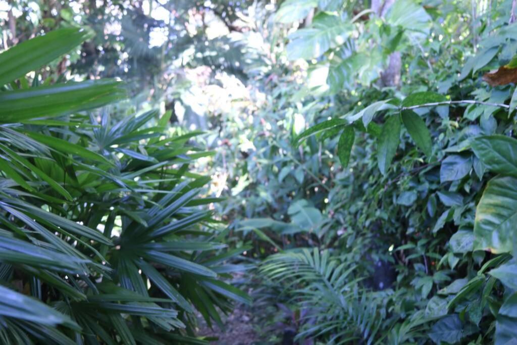 Beauty Tiny Walk To Sea Villa Port Douglas Exterior foto