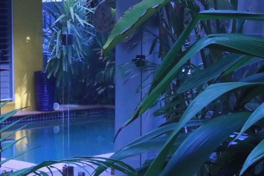 Beauty Tiny Walk To Sea Villa Port Douglas Exterior foto