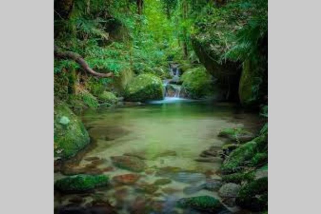 Beauty Tiny Walk To Sea Villa Port Douglas Exterior foto