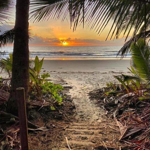 Beauty Tiny Walk To Sea Villa Port Douglas Exterior foto